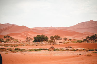 Scenic view of desert against clear sky