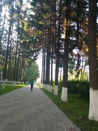 People walking on footpath