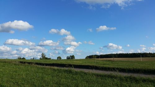 Scenic view of agricultural field against sky