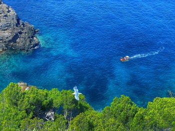 High angle view of plants by sea