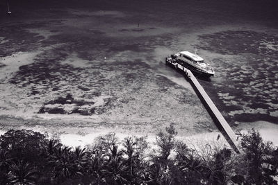 High angle view of plants on land by sea