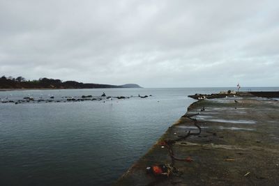 Scenic view of beach against sky