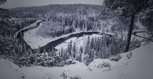 Plants on snow covered land against mountains