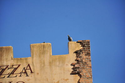 Low angle view of seagull perching on building against sky