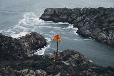 Scenic view of sea and rocks against sky