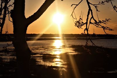 Silhouette trees against sky during sunset