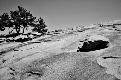 Leaf on rock against sky during winter