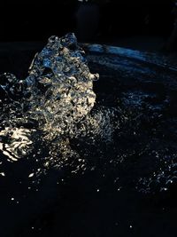 Close-up of water at night