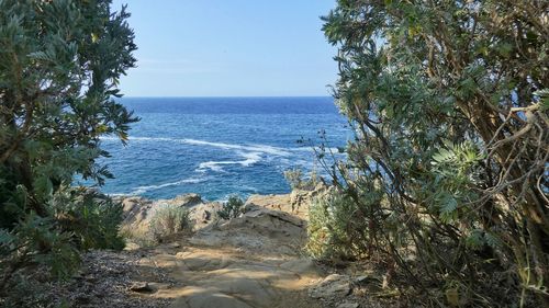 Scenic view of sea against clear blue sky