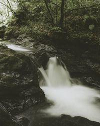Scenic view of waterfall