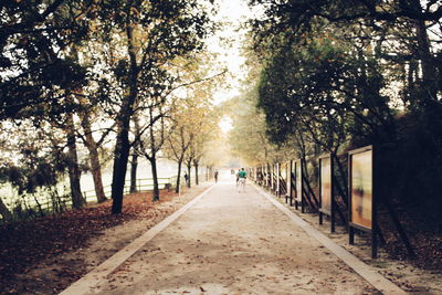 View of trees in park