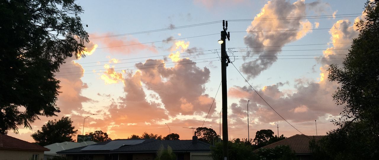 LOW ANGLE VIEW OF SILHOUETTE TREES AGAINST SKY