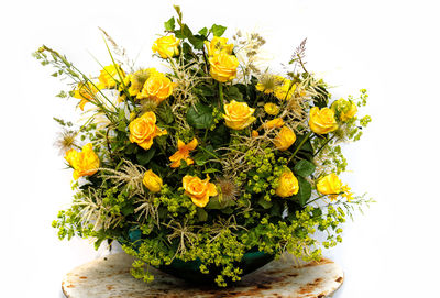 Close-up of yellow flower pot against white background