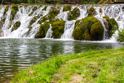 View of waterfall in forest