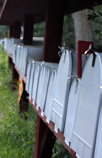 Close-up of clothes drying on wood