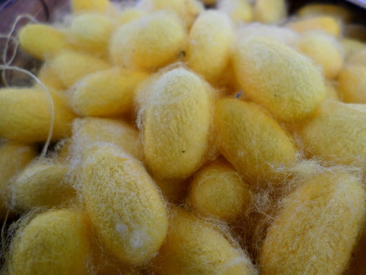 FULL FRAME SHOT OF YELLOW AND FRUITS