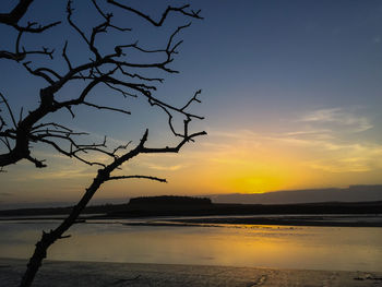 Reflection of bare trees in sea at sunset
