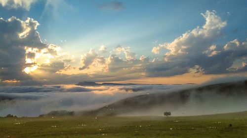 Scenic view of field against sky during sunset