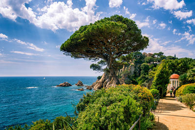 Scenic view of coast part of blanes, girona, spain in sunny day.