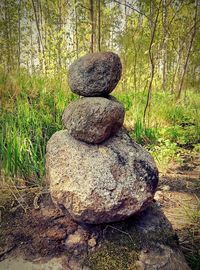 Rocks in forest