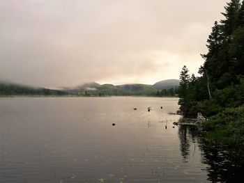 Scenic view of lake during foggy weather