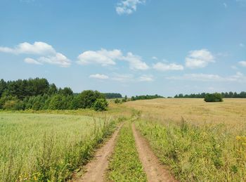 Road among a green field on a sunny day against a blue sky