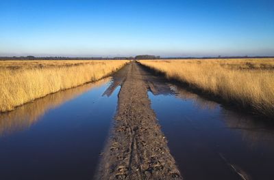 Typical dutch meadow landscape with stream and tree edge during late fall sunny