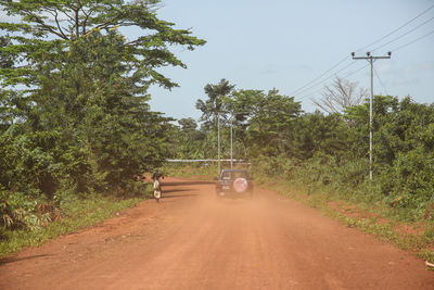 Road passing through forest