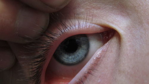 Close-up of human eye