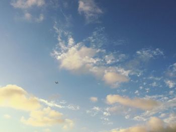 Low angle view of airplane flying in sky