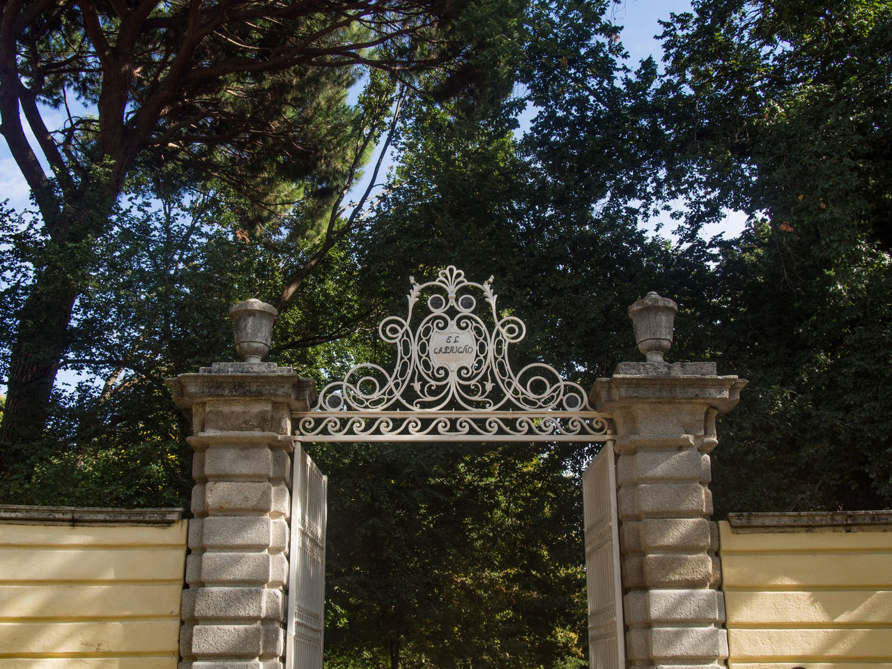 LOW ANGLE VIEW OF HISTORICAL BUILDING AND TREES