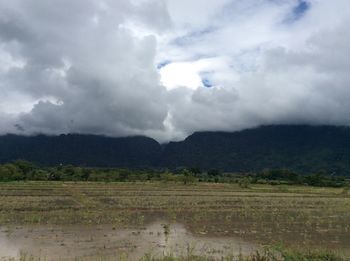 Scenic view of farm against sky