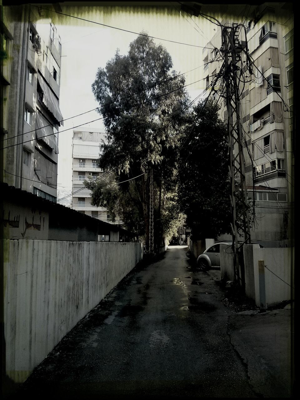 architecture, building exterior, built structure, the way forward, tree, residential structure, residential building, building, diminishing perspective, street, house, auto post production filter, city, transfer print, road, narrow, vanishing point, day, alley, bare tree