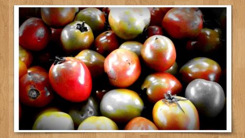 Full frame shot of tomatoes
