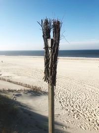 Driftwood on wooden post on beach against clear sky