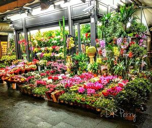 Variety of fruits for sale in market