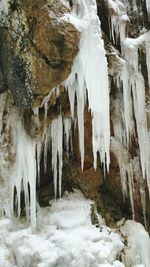 Panoramic view of icicles on snow covered landscape