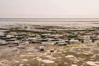 Scenic view of beach