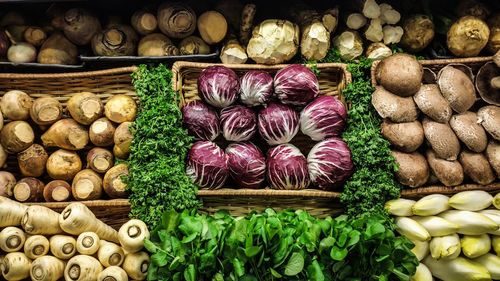 Close-up of various flowers