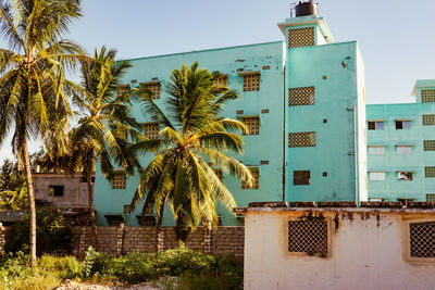 Beach front apartments amidst palm trees at mambrui beach in malindi, kilifi county, kenya