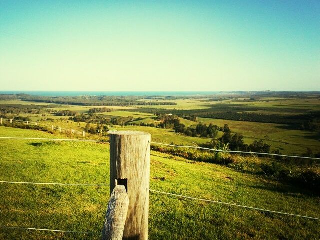 grass, field, landscape, clear sky, grassy, tranquil scene, tranquility, green color, rural scene, copy space, nature, scenics, fence, beauty in nature, wood - material, blue, horizon over land, non-urban scene, agriculture, growth