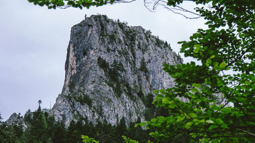 Low angle view of rocks and trees against sky