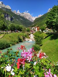 Scenic view of pink and mountains against sky