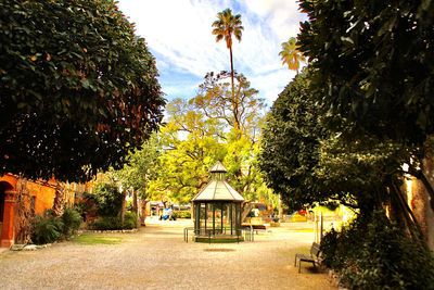 Trees in park against sky