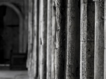 Close-up of plant against blurred background