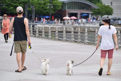Rear view of people walking with dogs on footpath
