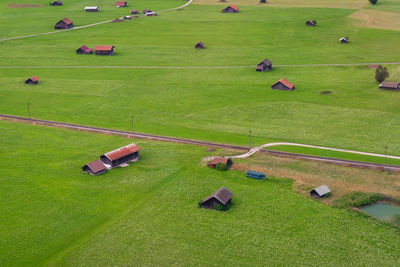 High angle view of agricultural field