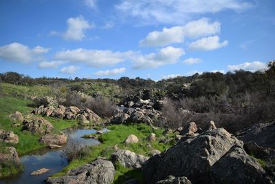 Scenic view of landscape against sky