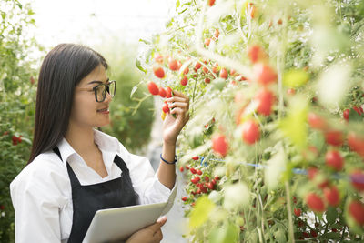 Young food inspector checking fruits standing by plants