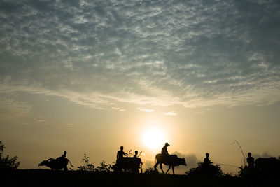 Silhouette people riding horses against sky during sunset